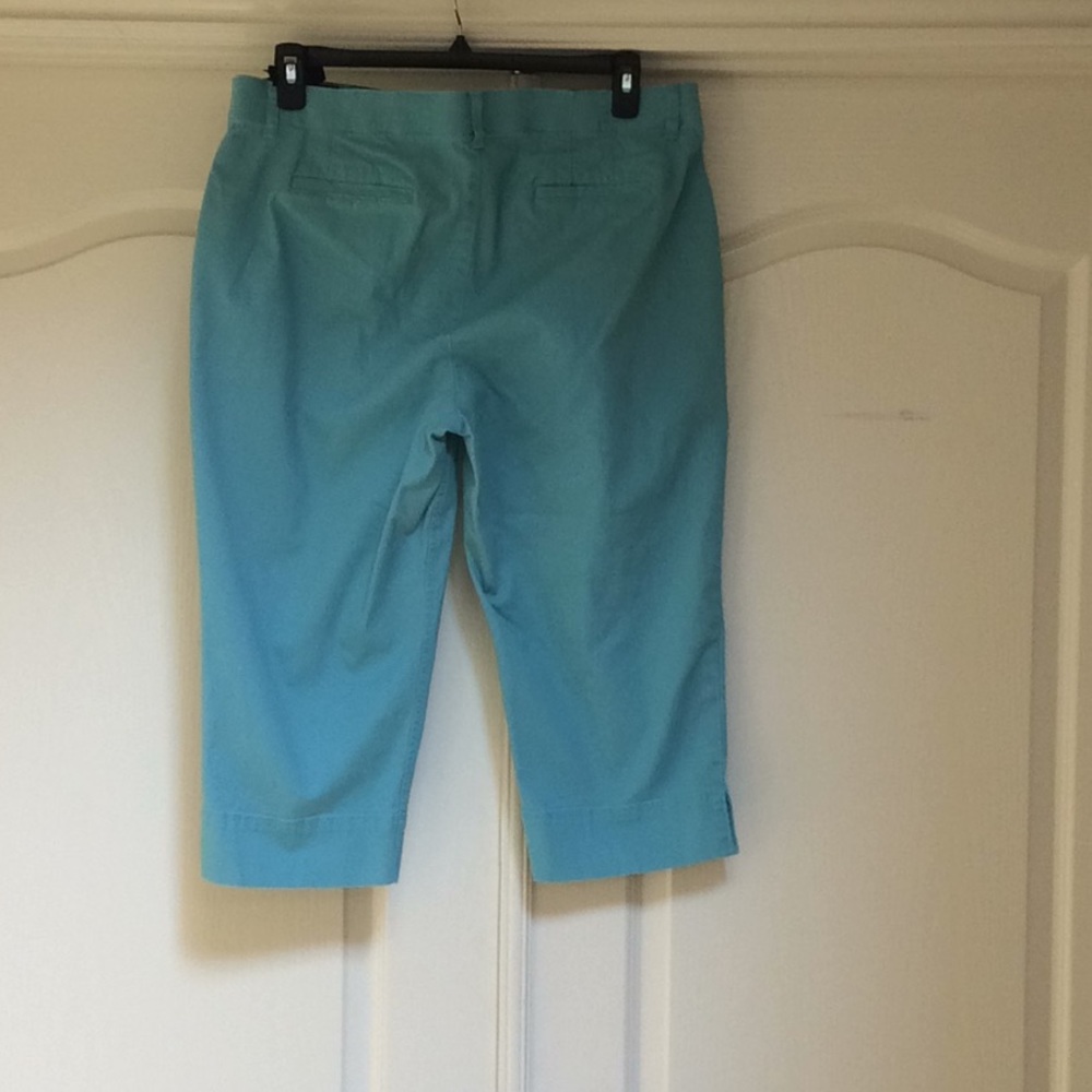 Stretch Crops - Picture 2 of 3